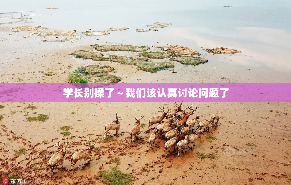 学长别揉了～我们该认真讨论问题了