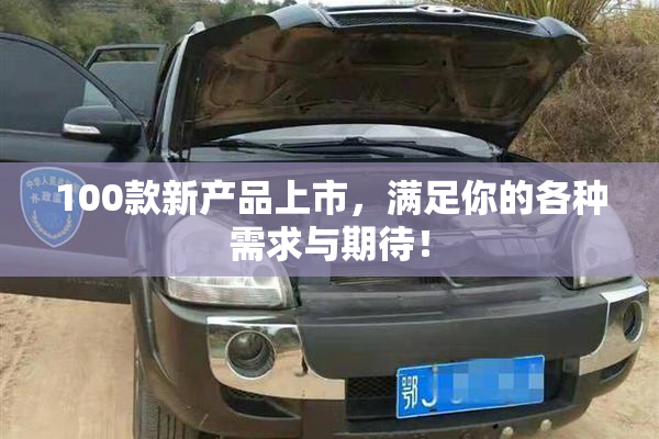 100款新产品上市，满足你的各种需求与期待！