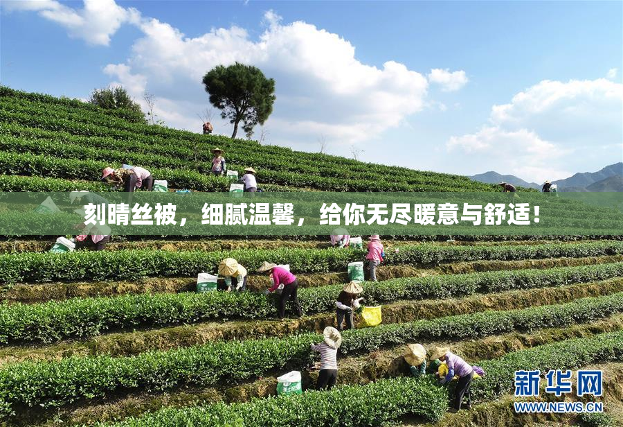 刻晴丝被，细腻温馨，给你无尽暖意与舒适！