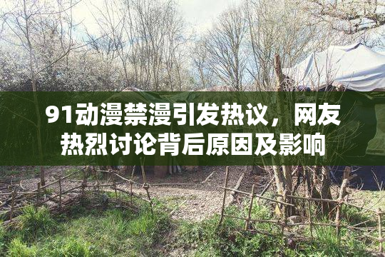 91动漫禁漫引发热议，网友热烈讨论背后原因及影响