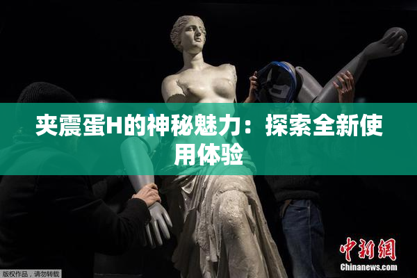 夹震蛋H的神秘魅力：探索全新使用体验