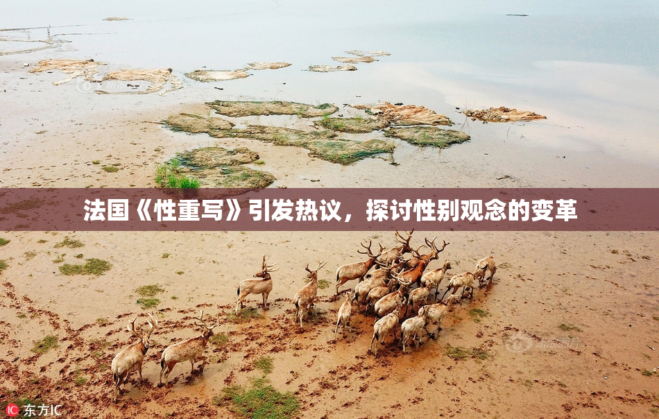 法国《性重写》引发热议，探讨性别观念的变革