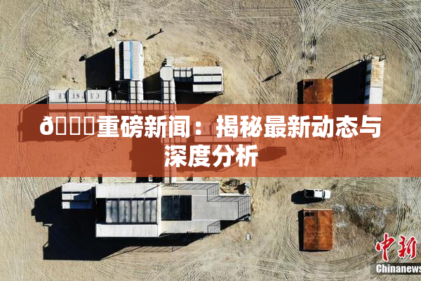 🈚重磅新闻：揭秘最新动态与深度分析