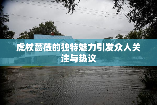 虎杖蔷薇的独特魅力引发众人关注与热议