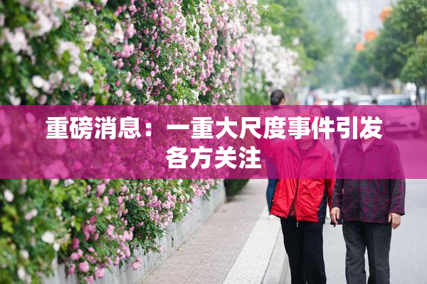 重磅消息：一重大尺度事件引发各方关注