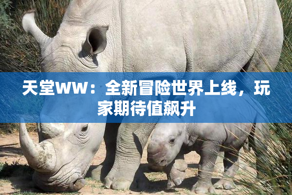 天堂WW：全新冒险世界上线，玩家期待值飙升