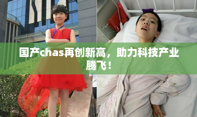 国产chas再创新高，助力科技产业腾飞！