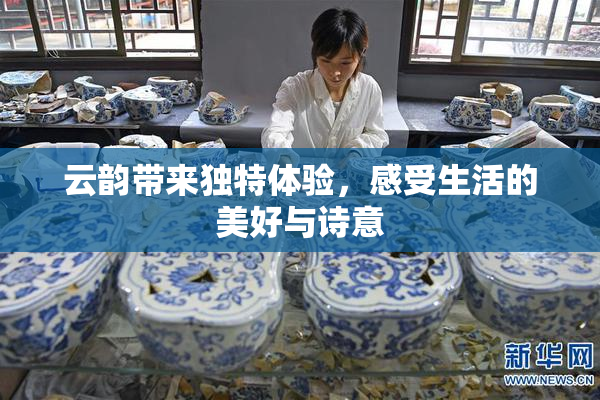 云韵带来独特体验，感受生活的美好与诗意