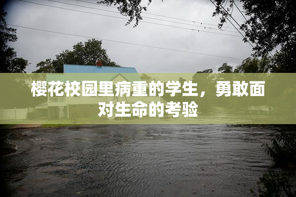 樱花校园里病重的学生，勇敢面对生命的考验