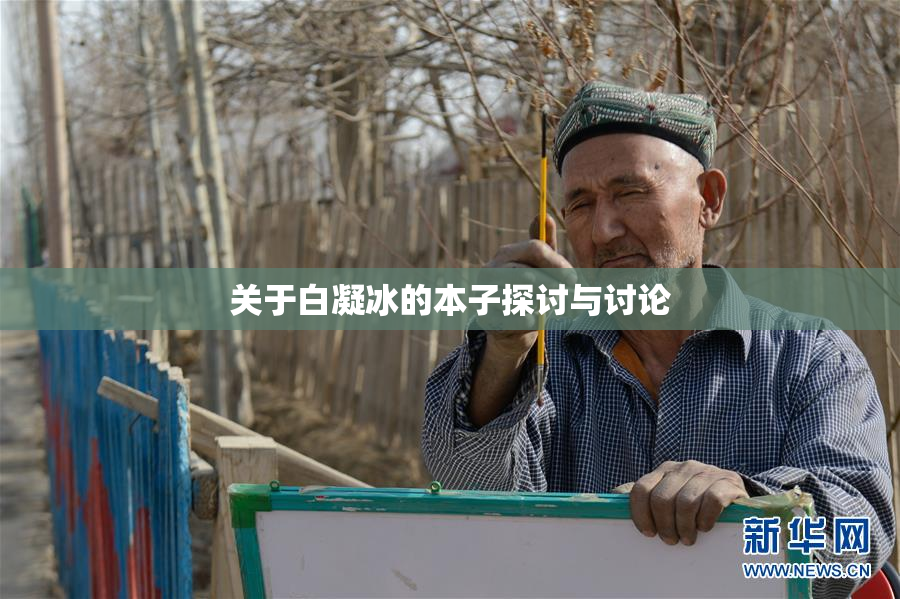 关于白凝冰的本子探讨与讨论