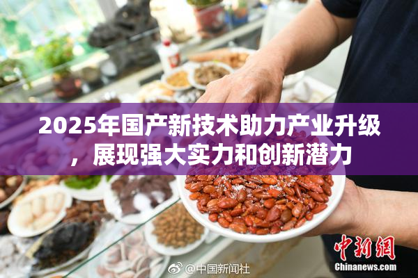2025年国产新技术助力产业升级，展现强大实力和创新潜力