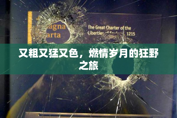 又粗又猛又色，燃情岁月的狂野之旅