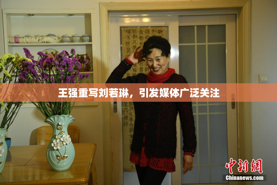 王强重写刘若琳，引发媒体广泛关注