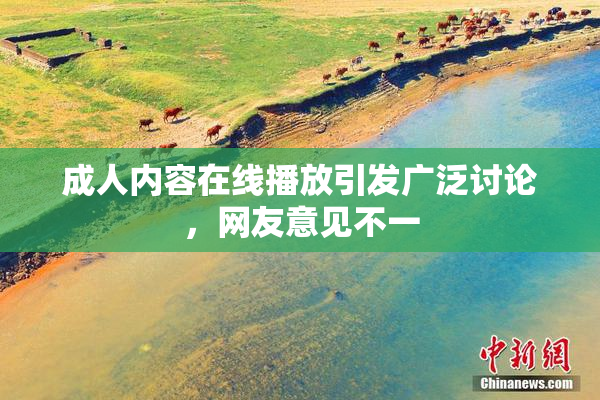 成人内容在线播放引发广泛讨论，网友意见不一