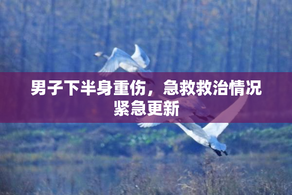 男子下半身重伤，急救救治情况紧急更新