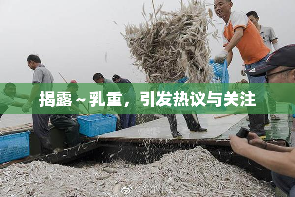 揭露～乳重，引发热议与关注
