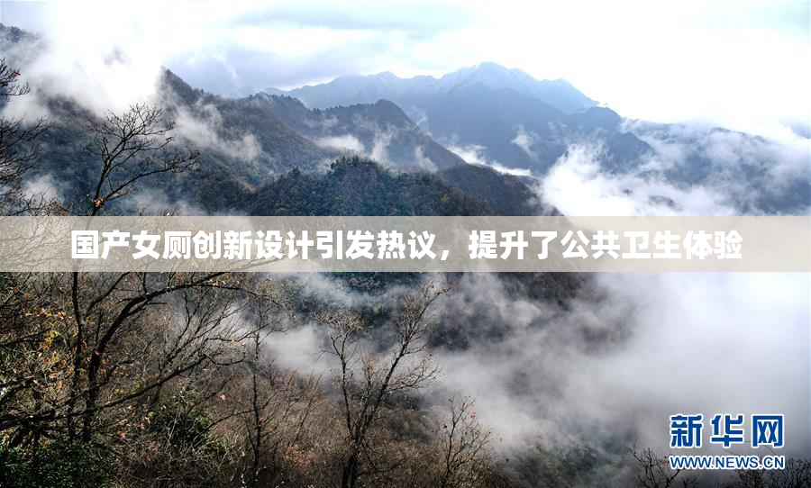 国产女厕创新设计引发热议，提升了公共卫生体验