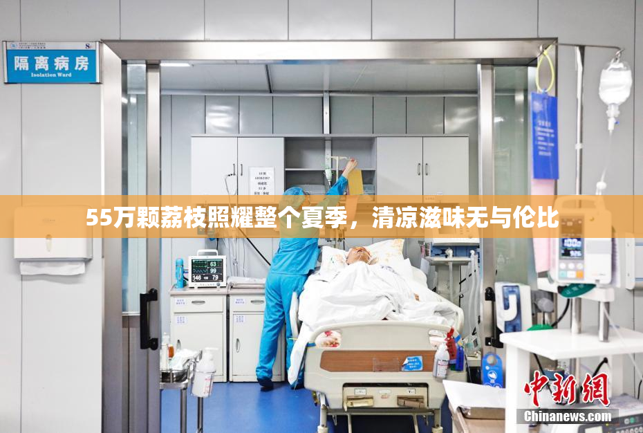 55万颗荔枝照耀整个夏季，清凉滋味无与伦比
