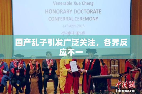 国产乱子引发广泛关注，各界反应不一
