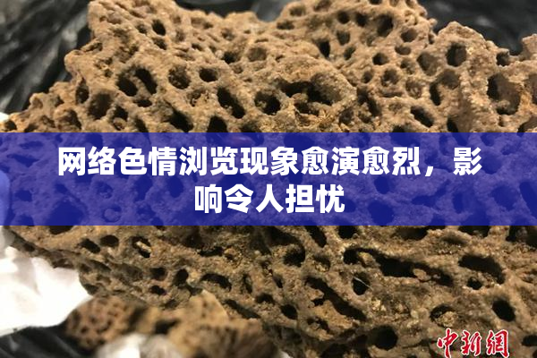 网络色情浏览现象愈演愈烈，影响令人担忧