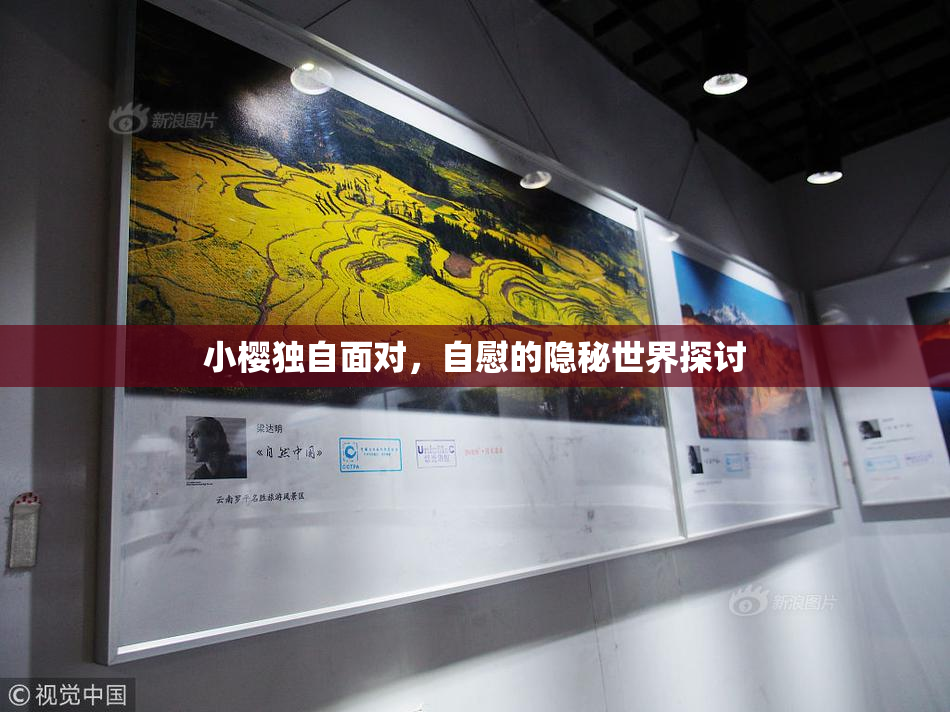 小樱独自面对，自慰的隐秘世界探讨