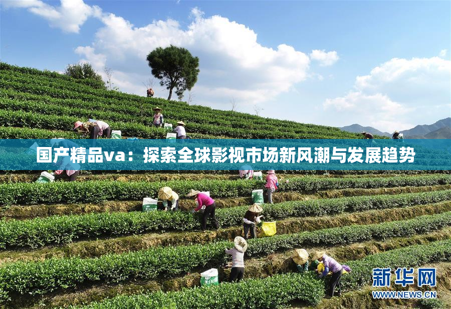 国产精品va：探索全球影视市场新风潮与发展趋势