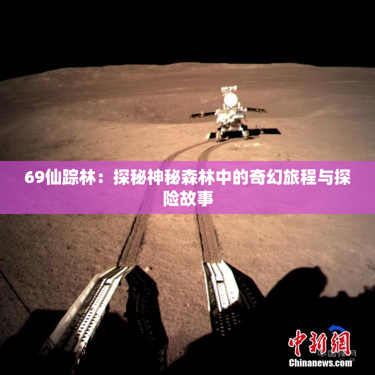 69仙踪林：探秘神秘森林中的奇幻旅程与探险故事