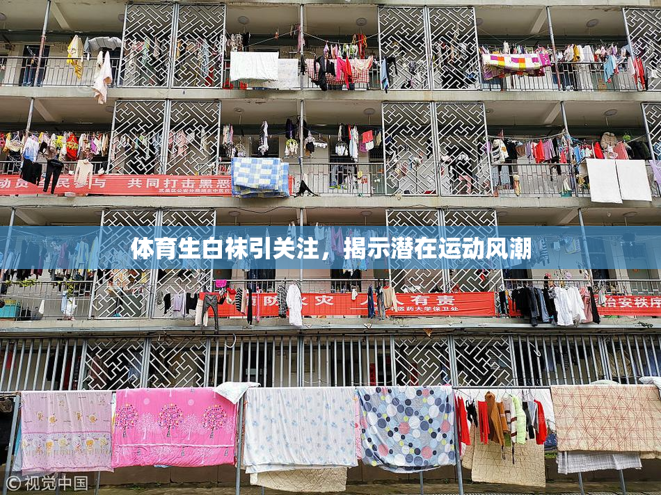体育生白袜引关注，揭示潜在运动风潮