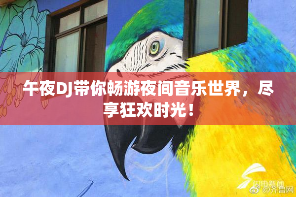 午夜DJ带你畅游夜间音乐世界，尽享狂欢时光！