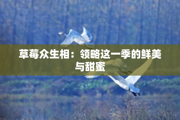 草莓众生相：领略这一季的鲜美与甜蜜