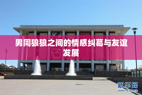 男同狼狼之间的情感纠葛与友谊发展
