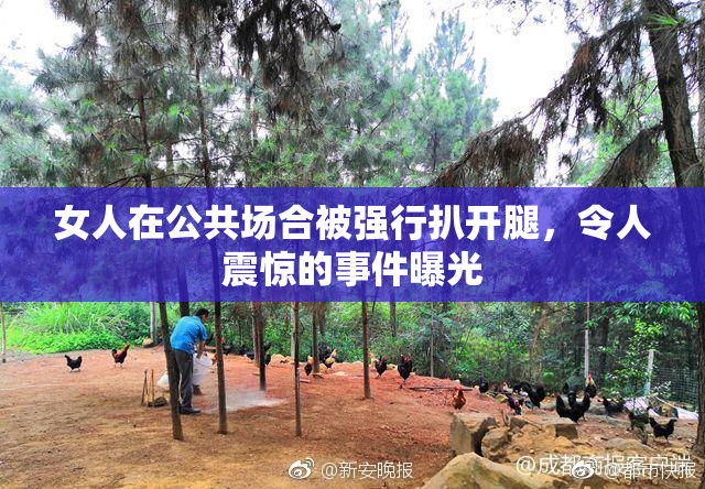 女人在公共场合被强行扒开腿，令人震惊的事件曝光