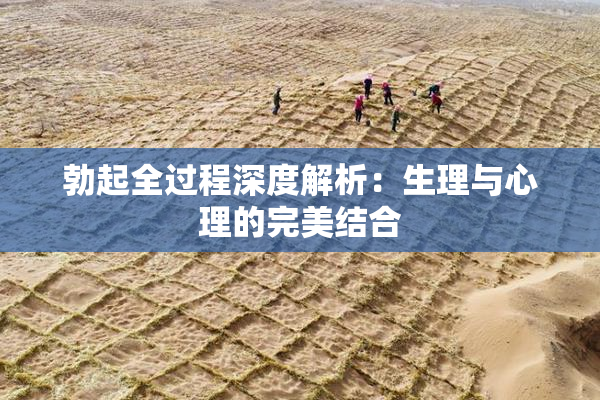 勃起全过程深度解析：生理与心理的完美结合