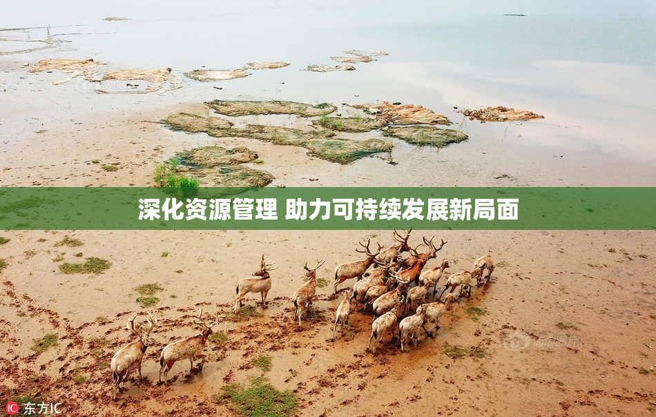 深化资源管理 助力可持续发展新局面