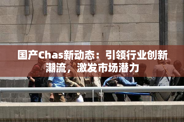 国产Chas新动态：引领行业创新潮流，激发市场潜力