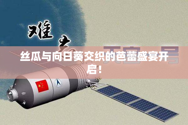 丝瓜与向日葵交织的芭蕾盛宴开启！