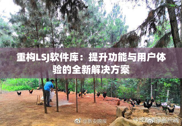 重构LSJ软件库：提升功能与用户体验的全新解决方案