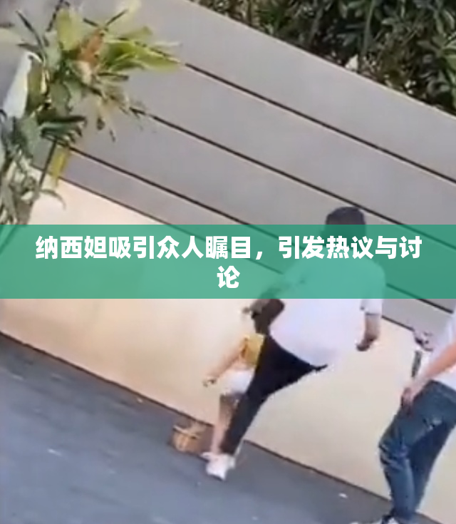 纳西妲吸引众人瞩目，引发热议与讨论