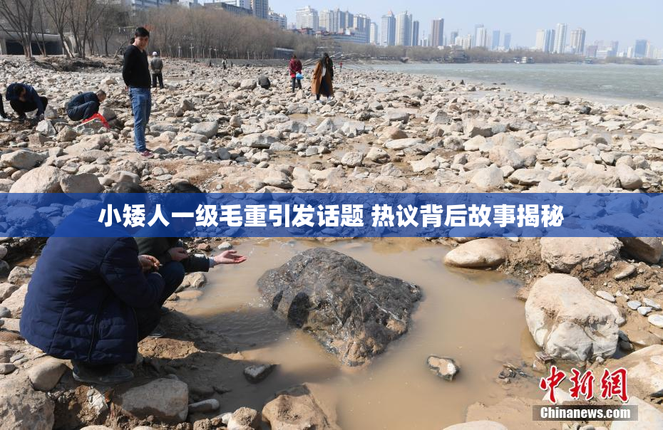 小矮人一级毛重引发话题 热议背后故事揭秘