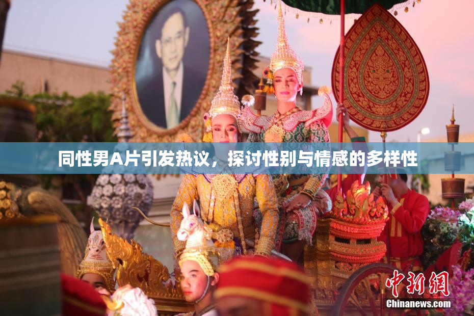 同性男A片引发热议，探讨性别与情感的多样性
