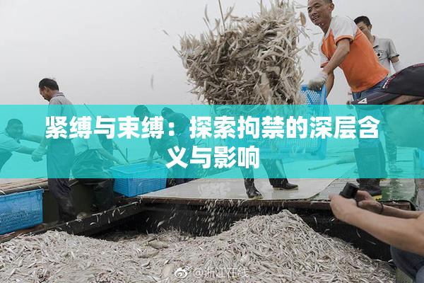 紧缚与束缚：探索拘禁的深层含义与影响