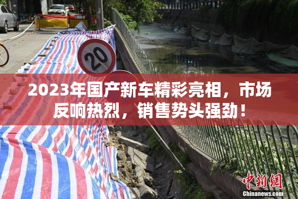 2023年国产新车精彩亮相，市场反响热烈，销售势头强劲！