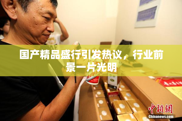 国产精品盛行引发热议，行业前景一片光明