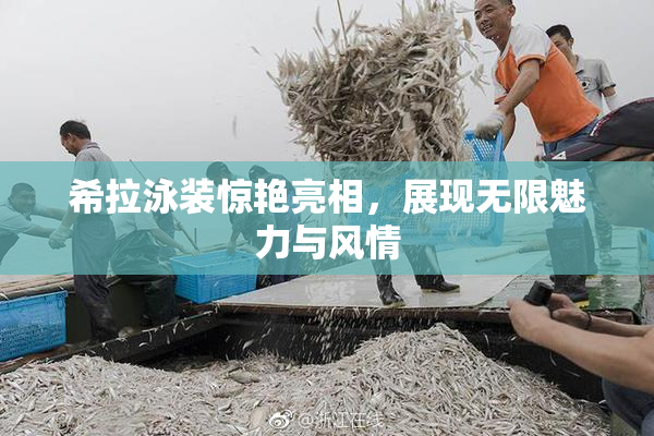希拉泳装惊艳亮相，展现无限魅力与风情