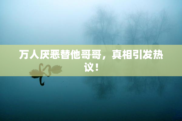 万人厌恶替他哥哥，真相引发热议！