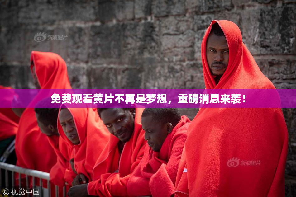 免费观看黄片不再是梦想，重磅消息来袭！
