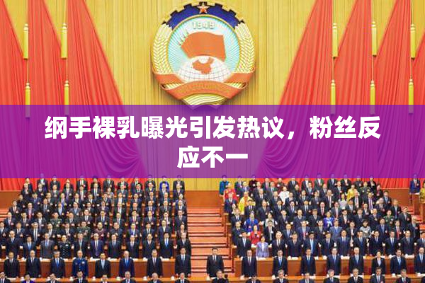 纲手裸乳曝光引发热议，粉丝反应不一