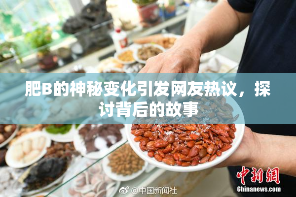 肥B的神秘变化引发网友热议，探讨背后的故事