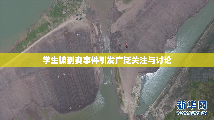 学生被到爽事件引发广泛关注与讨论