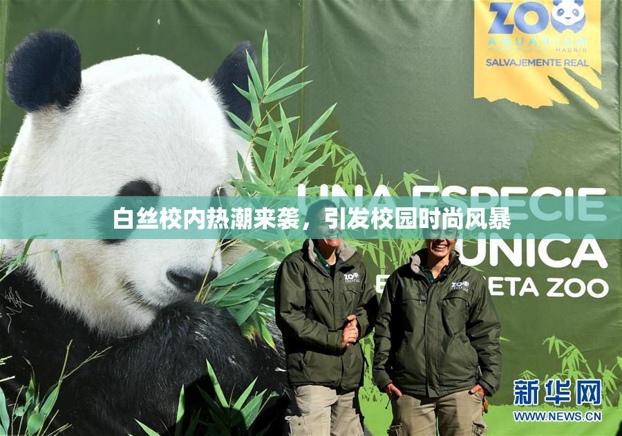 白丝校内热潮来袭，引发校园时尚风暴